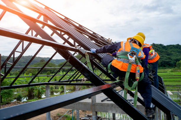 Best Sealant for Roof  in Mercedes, TX