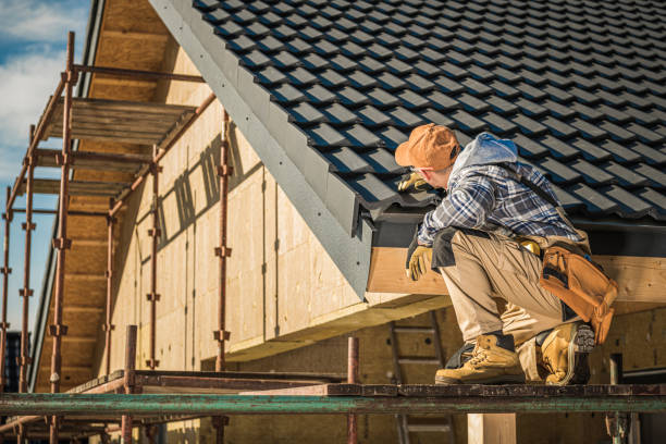 Best Roof Repair Services  in Mercedes, TX