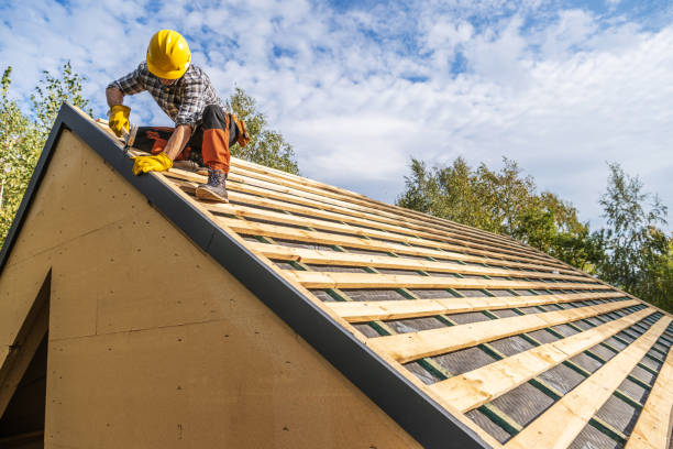 Best Roof Gutter Cleaning  in Mercedes, TX