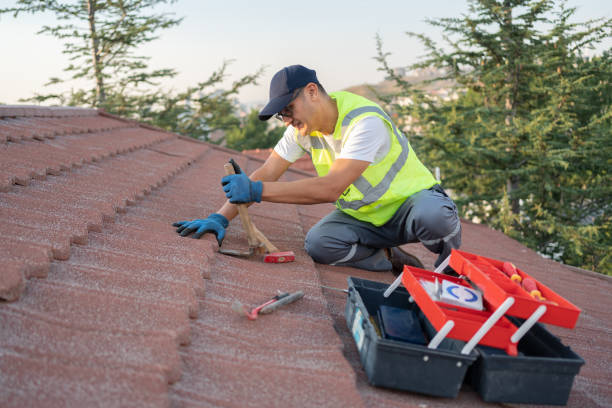 Best Flat Roof Repair Services  in Mercedes, TX